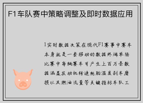 F1车队赛中策略调整及即时数据应用